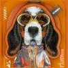Etui Nimmy Cool&Cute 2.0 Dog do iPhone   17 Pro Max z magnetyczną zawieszką pomarańczowy